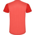 Rouge - Back - Roly - T-shirt DETROIT - Adulte