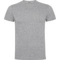 Gris chiné - Front - Roly - T-shirt DOGO PREMIUM - Homme