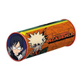 Multicolore - Back - My Hero Academia - Trousse