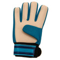 Blanc - Bleu marine - Back - Tottenham Hotspur FC - Gants de gardien de but - Enfant