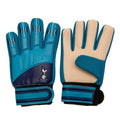 Blanc - Bleu marine - Front - Tottenham Hotspur FC - Gants de gardien de but - Enfant