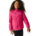 Rose fluo - Pack Shot - Regatta - Veste matelassée HILLPACK - Enfant