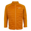 Orange sombre - Marron foncé - Side - Regatta - Veste TREKKTAIN - Garçon