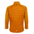 Orange sombre - Marron foncé - Lifestyle - Regatta - Veste TREKKTAIN - Garçon