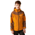 Orange sombre - Marron foncé - Pack Shot - Regatta - Veste TREKKTAIN - Garçon