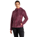 Figue - Lifestyle - Dare 2B - Haut de sport TORREK MOUNTAIN PRO - Femme