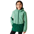 Vieux vert - Forêt tropicale - Side - Regatta - Veste matelassée HIGHTON - Enfant