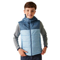 Bleu de gris - Bleu ciel - Side - Regatta - Veste sans manches LOFTHOUSE - Enfant