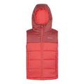 Rouge clair - Rouge ciel - Front - Regatta - Veste sans manches LOFTHOUSE - Enfant