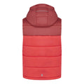 Rouge clair - Rouge ciel - Back - Regatta - Veste sans manches LOFTHOUSE - Enfant