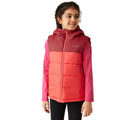 Rouge clair - Rouge ciel - Side - Regatta - Veste sans manches LOFTHOUSE - Enfant