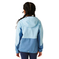 Bleu ciel - Bleu de gris - Lifestyle - Regatta - Veste polaire DISSOLVER - Enfant