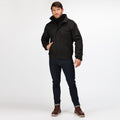 Noir-gris - Lifestyle - Regatta - Veste imperméable DOVER - Homme