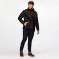 Noir - Lifestyle - Regatta - Veste TYLER - Homme