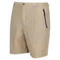 Avoine - Side - Regatta - Short de marche LEESVILLE - Homme