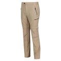 Avoine - Side - Regatta - Pantalon de marche HIGHTON - Homme