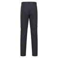 Gris phoque - Back - Regatta - Pantalon de marche HIGHTON - Homme