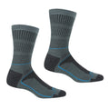 Gris bleu - Bleu vif - Front - Regatta - Chaussettes pour bottes SAMARIS SEASON - Femme