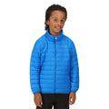 Bleu vif - Close up - Regatta - Veste HILLPACK - Enfant