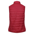 Rouge foncé - Back - Regatta - Veste sans manches HILLPACK - Femme