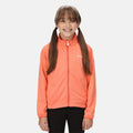 Corail - Back - Regatta - Veste softshell HIGHTON LITE - Enfant