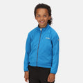 Bleu vif - Back - Regatta - Veste softshell HIGHTON LITE - Enfant