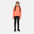 Corail - Lifestyle - Regatta - Veste softshell HIGHTON LITE - Enfant