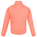 Corail - Pack Shot - Regatta - Veste softshell HIGHTON LITE - Enfant