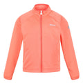 Corail - Front - Regatta - Veste softshell HIGHTON LITE - Enfant