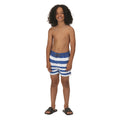 Lapis lazuli - Lifestyle - Regatta - Short de bain SKANDER - Garçon