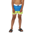 Bleu vif - Vert kaki clair - Lifestyle - Regatta - Short de bain SERGIO - Enfant