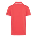 Rouge ciel - Blanc - Back - Regatta - Polo TADEO - Homme