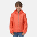 Corail - Back - Regatta - Veste imperméable CATKIN - Enfant