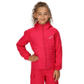 Rose fluo - Lifestyle - Regatta - Veste KIELDER HYBRID - Enfant