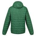 Vert - Back - Regatta - Veste HILLPACK - Homme