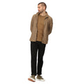 Beige foncé - Pack Shot - Regatta - Veste polaire EDLEY - Homme