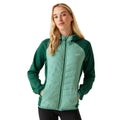 Vieux vert - Forêt tropicale - Lifestyle - Regatta - Veste hybride ANDRESON - Femme