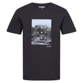 Cendre - Front - Regatta - T-shirt BREEZED - Homme