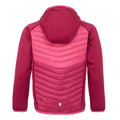 Rose foncé - Rose vif - Back - Regatta - Veste hybride KIELDER - Enfant