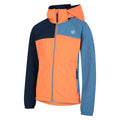 Orange - Bleu pâle - Side - Dare 2B - Veste softshell CHEER - Enfant