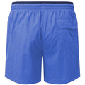 Bleu roi - bleu marine - Back - Asquith & Fox - Short de bain - Homme