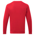 Rouge - Back - Asquith & Fox - Sweat - Homme