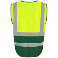 Jaune fluo - Vert - Back - PRO RTX - Gilet haute visibilité EXECUTIVE - Adulte