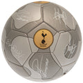 Argenté - Gris - Side - Tottenham Hotspur FC - Ballon de foot