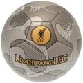 Argenté - Gris - Front - Liverpool FC - Ballon de foot