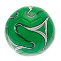 Vert - Blanc - Back - Celtic FC - Ballon de foot COSMOS