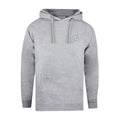 Gris - Front - Flash - Sweat à capuche - Homme