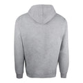 Gris - Back - Flash - Sweat à capuche - Homme