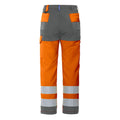 Orange - Gris - Back - Projob - Pantalon cargo - Homme